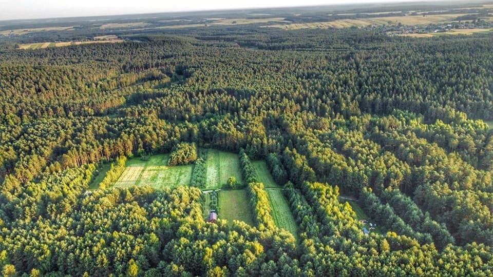 Wittowka - Domek Na Wylacznosc Z Dala Od Sasiadow Tomaszów Lubelski エクステリア 写真