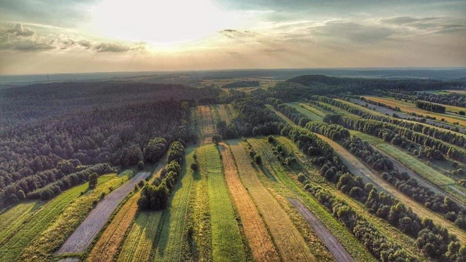 Wittowka - Domek Na Wylacznosc Z Dala Od Sasiadow Tomaszów Lubelski エクステリア 写真